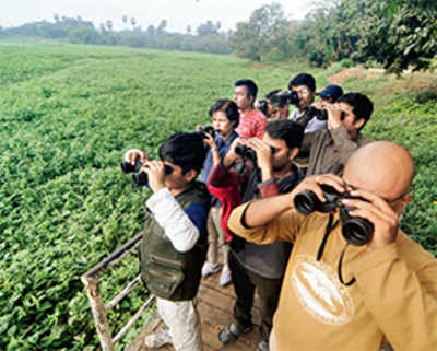 Expert birders to conduct 3-month survey at SGNP