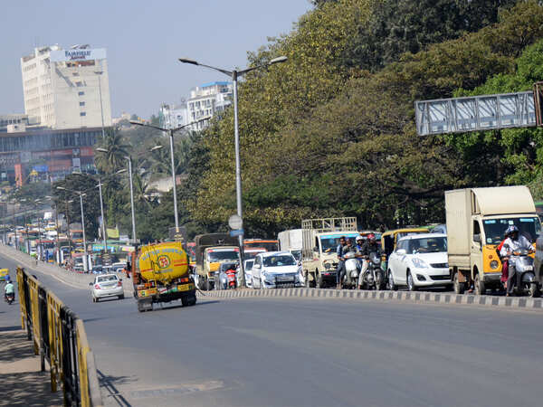 3,600 trees likely to make way for wider roads, Metro in Bengaluru