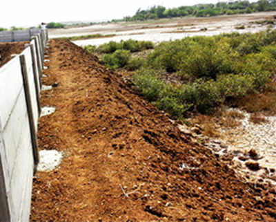 Builders fined for destroying mangroves on 60-acre plot