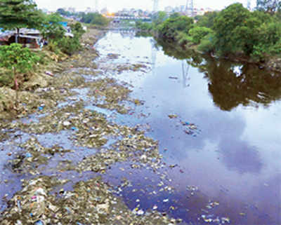 Civic bodies to pay crores for Ulhas river’s clean-up