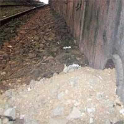 Rats chew cables at Kharghar stn, weaken platforms