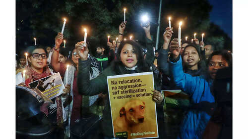 How A Humane Law On Dogs Went To Dogs In Telangana