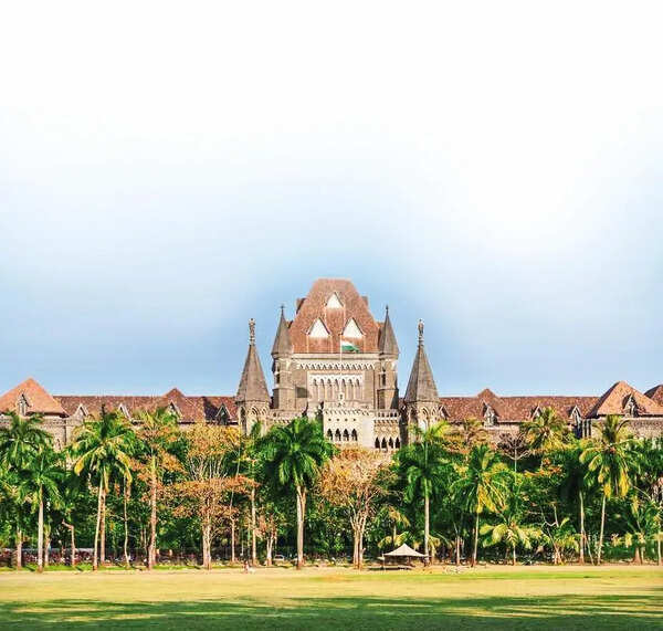 Road rage accused gets bail from Bombay HC to guide daughters on higher education
