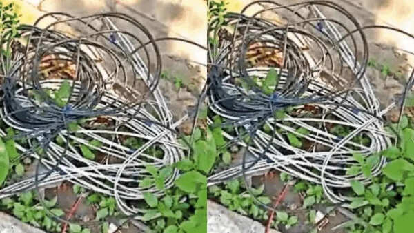 Loose cable on road kills Bengaluru bizman on engagement day in freak accident near Vidhana Soudha