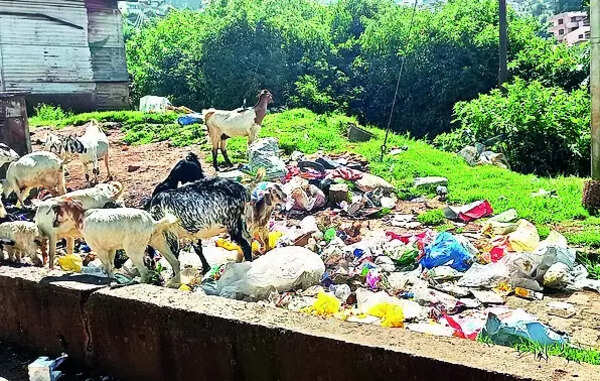 Ooty stinks as garbage collection slacks off