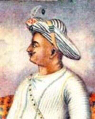 Tipu in 3D