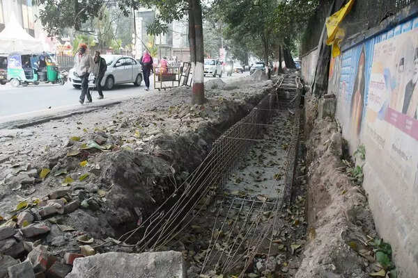 No trees will be felled for New Cantt road project: PWD