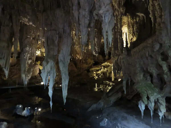 In the early 1900s, cavers in Western Australia found massive bones and unearthed Mammoth Cave, a lost world of giant fossils