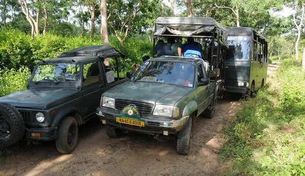 Bandipur, Nagarahole reserves post Rs24cr revenue from safaris in 2025