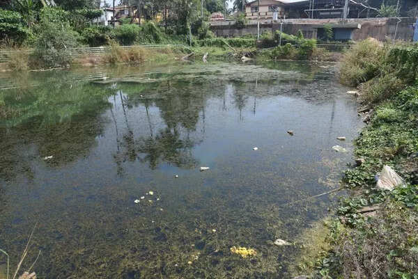 With no UGD, sewage inflow pollutes lake in M’luru