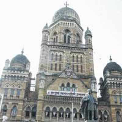 After rats, BMC now cracks down on '˜moles'