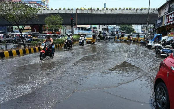 Erratic weather batters crops across north Andhra
