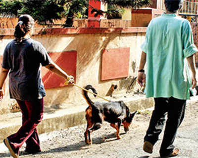 Cannot ban pets in societies: AWBI
