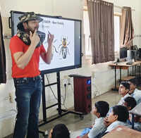 Pune to mark World Bee Day with sessions on conservation, coexistence and beekeeping