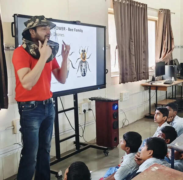 Pune to mark World Bee Day with sessions on conservation, coexistence and beekeeping