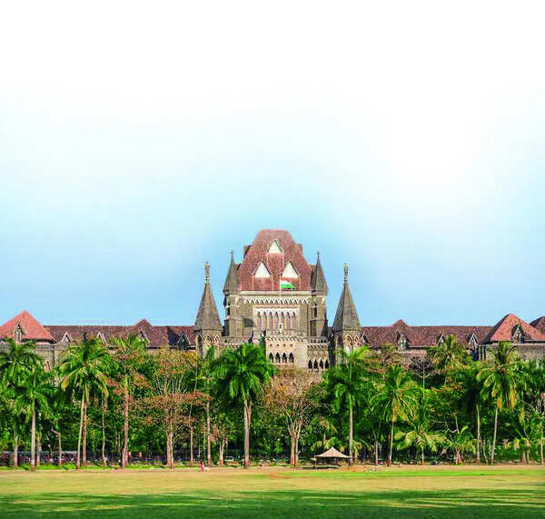 Mom goes back on word to let dad meet 8-yr-old, HC frowns