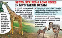 Van Vihar may soon see zebra stripes & giraffe necks rising above its enclosure