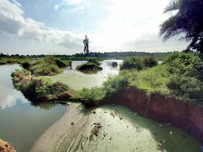 Video: Yet another lake in Garden City is dying a slow death