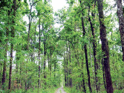 Assam gets 7th national park, 2 in a week