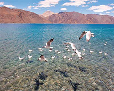 Travel: The road to Pangong