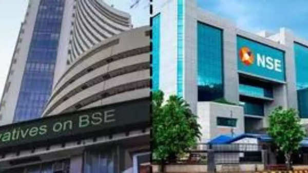 Nse store stock market