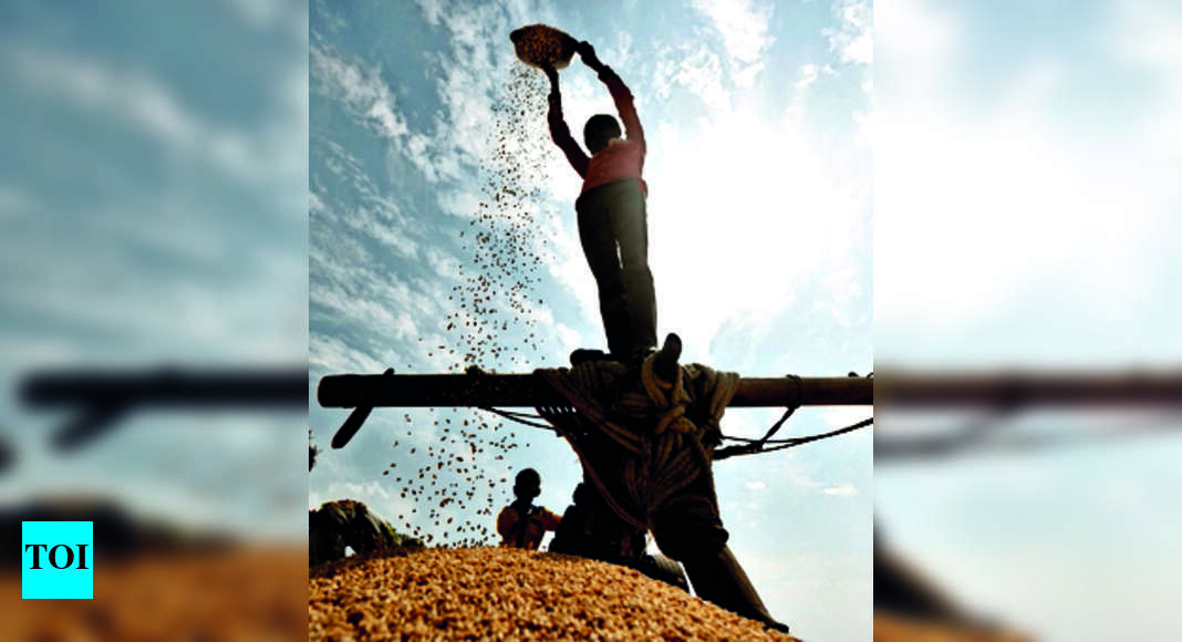Package Announced For Crop Damage Due To Unseasonal Rain | Ahmedabad ...