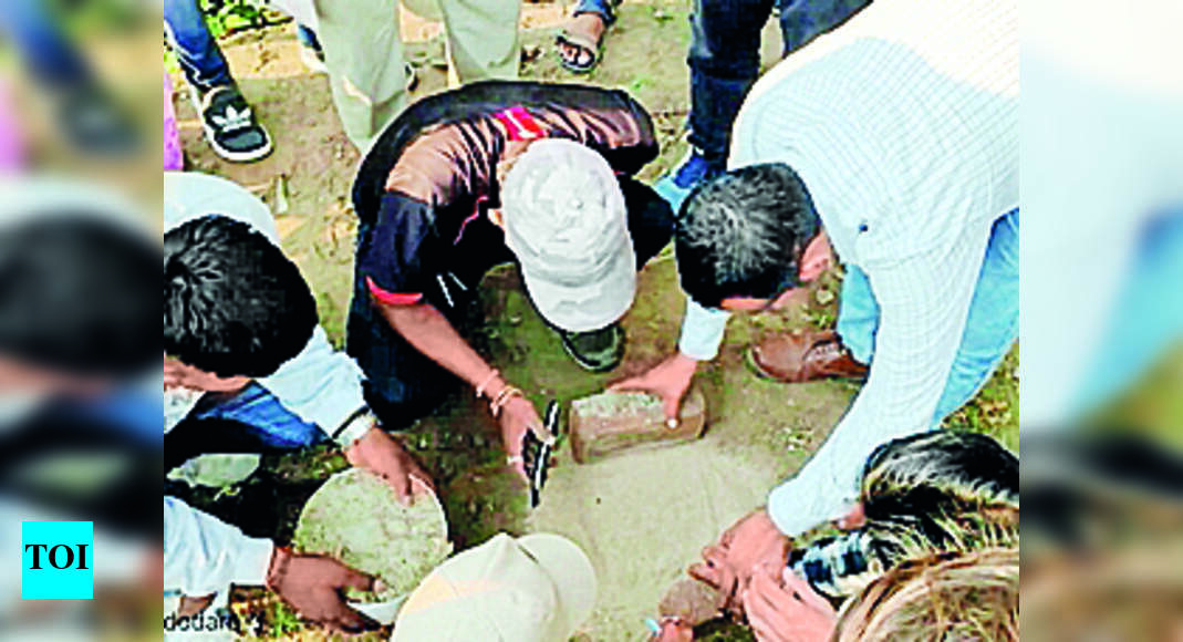 Leopard Census In Vadodara Range | Vadodara News - Times of India