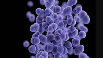 ILS Bhubaneswar researchers find new bacteria