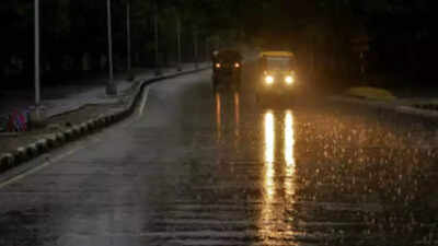 Showers, hailstorms to continue in Rajasthan