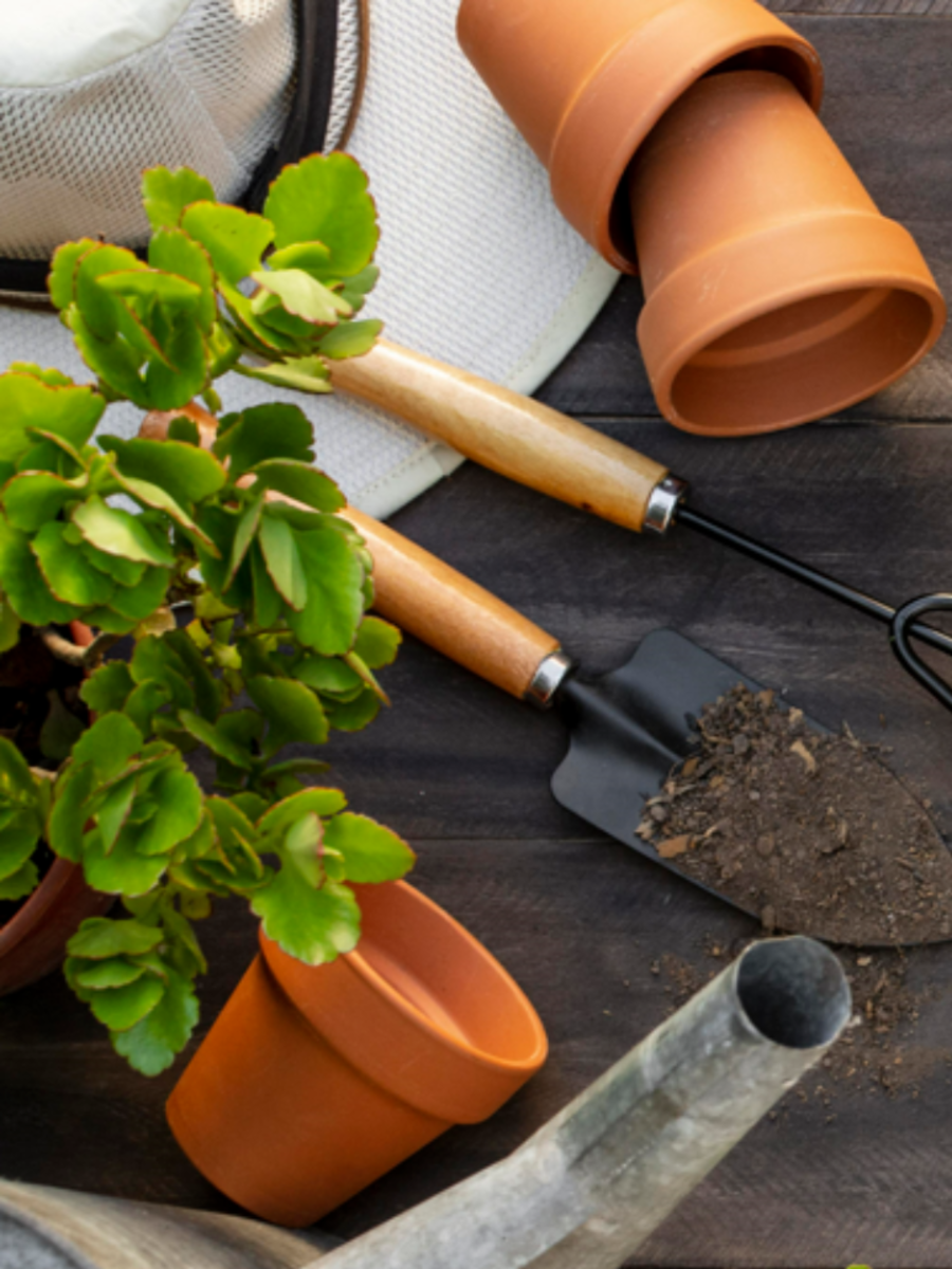 The Ultimate Guide to Gardening Tools: Names and Uses | Times Now