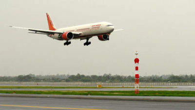 Scorpion bites woman on Air India's Nagpur-Mumbai flight