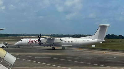 Irish lessor files insolvency petition against SpiceJet