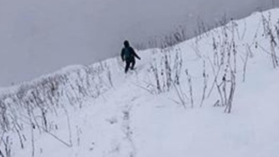 Snow ruins collection of 'Himalayan viagra'
