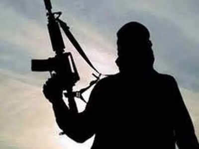 Terrorist killed in encounter in J&K's Baramulla