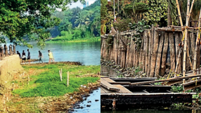 Kolkata: Lake water depletion poses threat to biodiversity, affects rowers