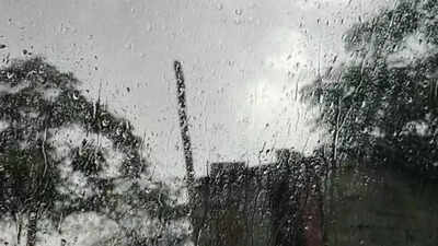 Parts of Delhi receive fresh spell of rain
