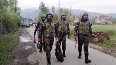 2 terrorists shot dead in Kashmir counteroffensive