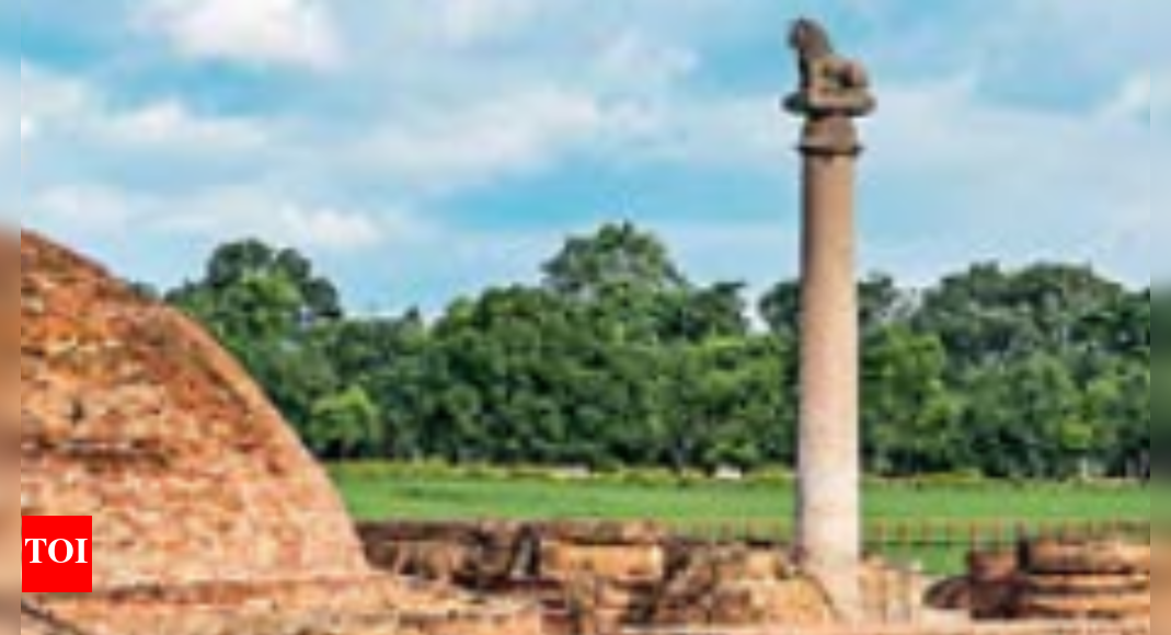 Creativity at its best | Patna News - Times of India