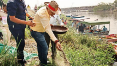 300 Cherry blossom, Chinar saplings planted on 3 Yamuna islands in Delhi