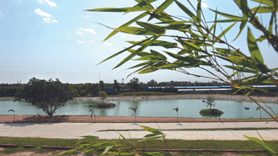 2 Delhi lakes brought to life at Baansera, musical fountain in offing
