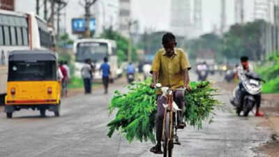 Officials bullish as north Chennai development work gets rolling