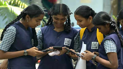 TN Class 12 results: Tirupur secures second place, Coimbatore comes fourth
