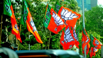 BJP wins 8 seats, Congress 4, independents 2 in urban body bypolls in Rajasthan