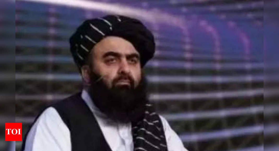Afghan Taliban’s Muttaqi urges Islamabad, TTP to hold talks