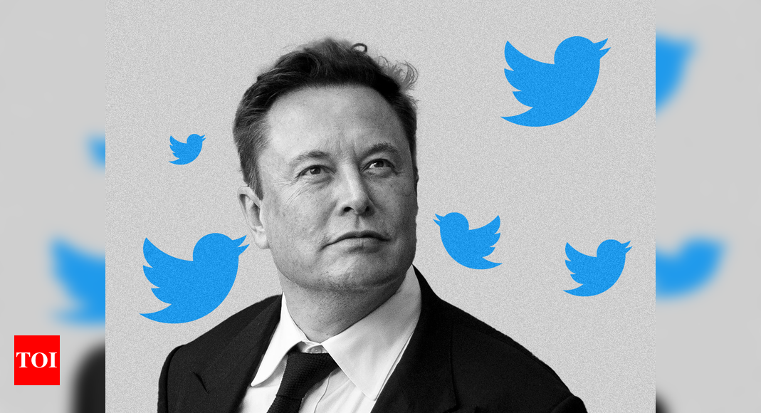 Musk: Elon Musk: Twitter to remove idle accounts, archive them – Times of India