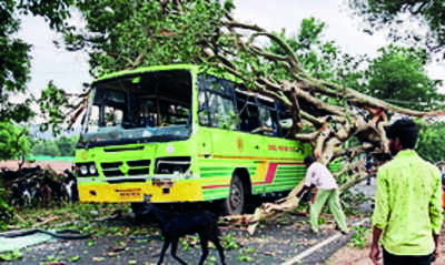Train services to be regulated