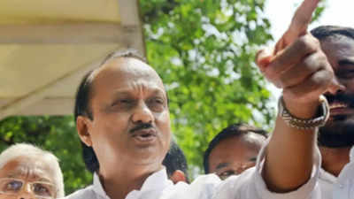 Can Win Maharashtra Assembly Polls If MVA Stays Intact, Says Ajit Pawar ...