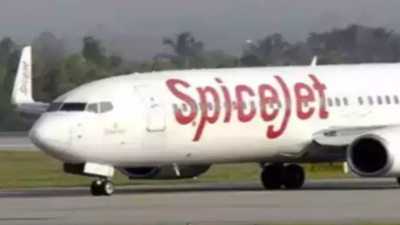 Spicejet SpiceJet launches BagProtekt for flyers hassled by delayed or missing baggage Times of India