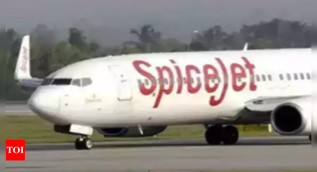 Spicejet: SpiceJet launches BagProtekt for flyers hassled by delayed or missing baggage – Times of India