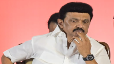TN taking steps to protect Tamils in Manipur: Stalin